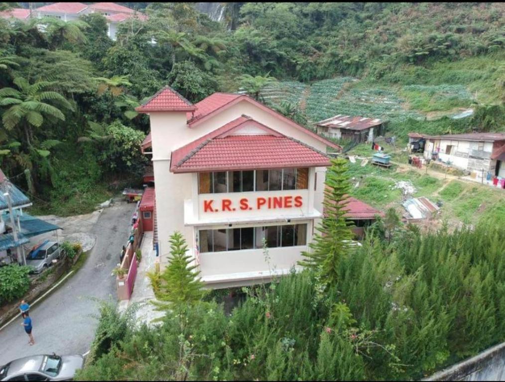Krs Pines Hotel مرتفعات كاميرون المظهر الخارجي الصورة
