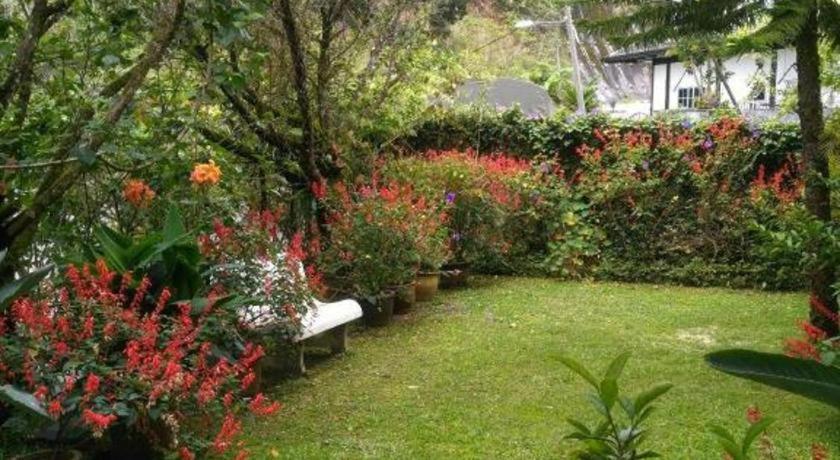 Krs Pines Hotel مرتفعات كاميرون المظهر الخارجي الصورة