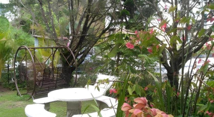 Krs Pines Hotel مرتفعات كاميرون المظهر الخارجي الصورة
