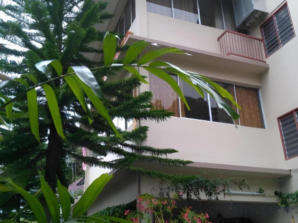 Krs Pines Hotel مرتفعات كاميرون المظهر الخارجي الصورة