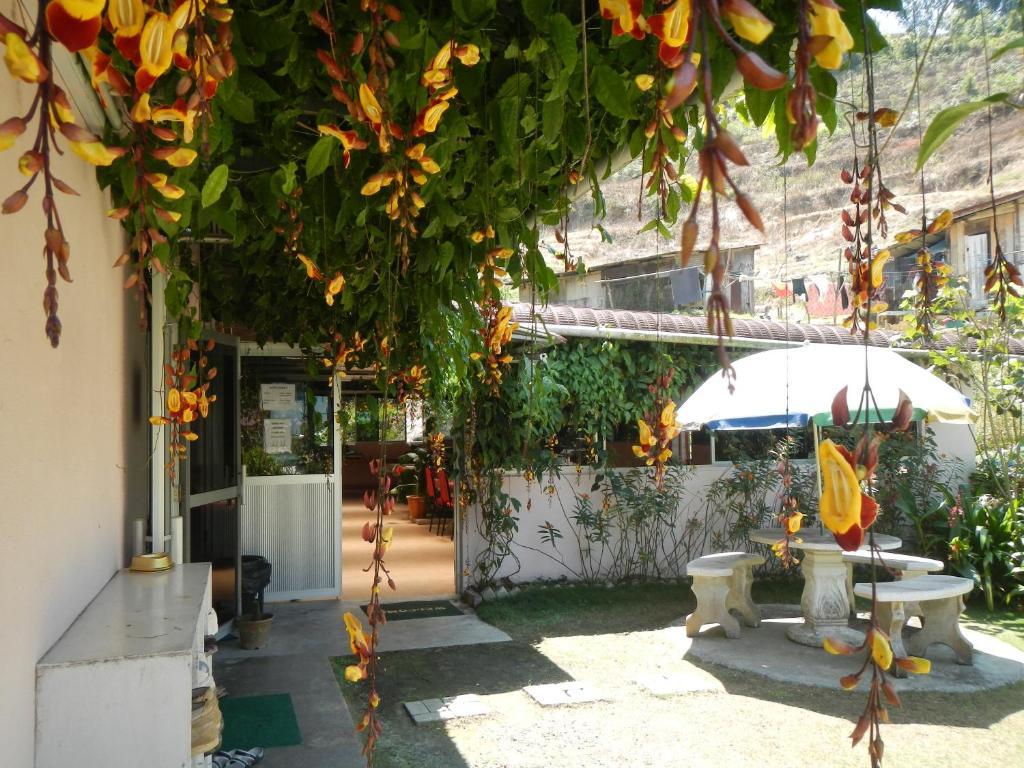 Krs Pines Hotel مرتفعات كاميرون المظهر الخارجي الصورة